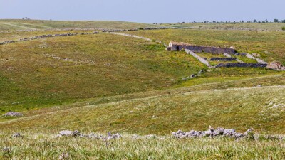 Конкурсы по предоставлению земли для начинающих и действующих фермеров планируют проводить отдельно