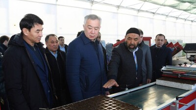 "Государству нужен результат". Жумангарин обсудил с тепличниками развитие отрасли