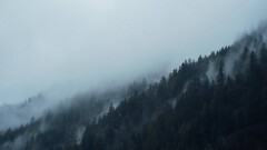 Прогноз погоды на 27 февраля: туман, сильный ветер и гололёд ожидаются в ЗКО