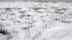 Прогноз погоды на 13 февраля: штормовое предупреждение объявили на юге Казахстана