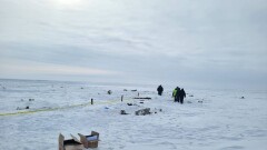 МЧС опубликовало новые кадры с места крушения вертолёта в ЗКО