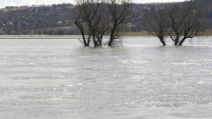 Ещё одно село оказалось под угрозой подтопления из-за размыва дамбы в Актюбинской области