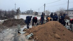Более 180 дворов, частный дом и 11 дорог затопило во время паводка в Туркестанской области