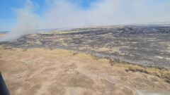 Более 100 тонн воды сбросили на горящий камыш в Иле-Балхашском резервате
