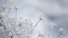 Школьников Астаны 17 апреля переведут на дистанционное обучение