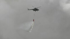 Минэкологии опубликовало список пятерых погибших работников лесничества в Абайской области