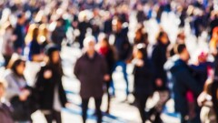 За 2023 год население Земли выросло почти на 66 млн человек