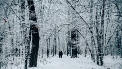 Прогноз погоды на 26 февраля: снег ожидается в Астане, на севере и востоке Казахстана