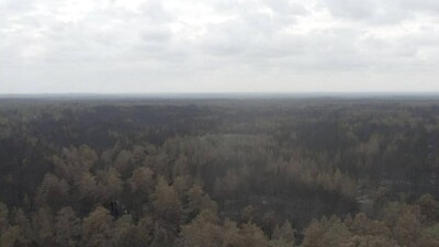 Сильное задымление близ Семея: эвакуируют жителей села Булак