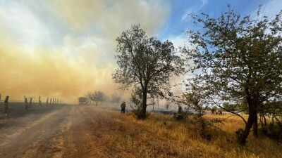 Пожары в Западно-Казахстанской области тушат 400 человек