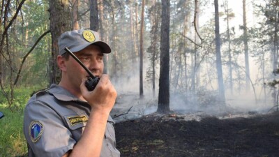 В Акмолинской области загорелся лесной массив