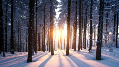 Прогноз погоды на 20 февраля: на севере Казахстана ожидается небольшое потепление