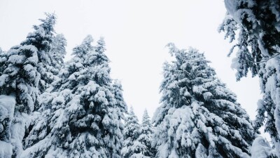 Прогноз погоды на 25 февраля: снег сохраняется в южных областях Казахстана