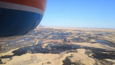 В природном резервате Алматинской области загорелся камыш