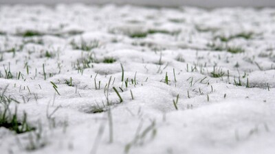 Прогноз погоды на 13 февраля: штормовое предупреждение объявили на юге Казахстана