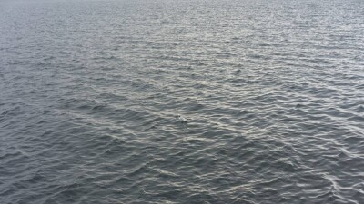 Спасатели Атырау ищут человека, спрыгнувшего с пешеходного моста
