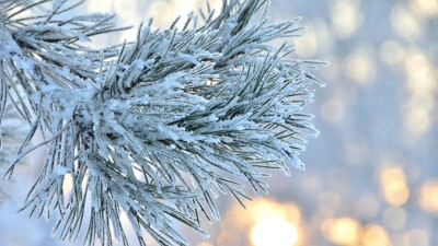 Прогноз погоды на 19 декабря: в большинстве регионов Казахстана ожидается снег