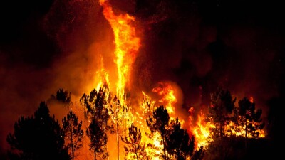 Лесные пожары в Греции не утихают 10-й день: уничтожено около 77 тысяч гектаров земли