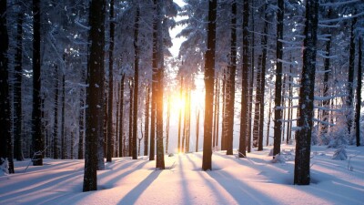 Прогноз погоды на 29 января: снег ожидается в Астане, Алматы, на севере и востоке Казахстана