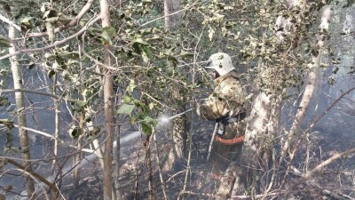 МЧС: Природный пожар в Абайской области оперативно локализован
