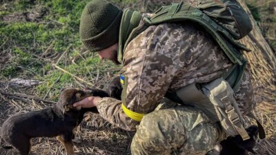 Что происходит в Украине. Главное к утру 13 февраля