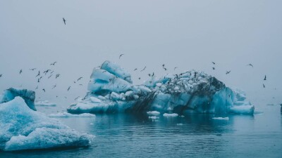 Впервые за 37 лет крупнейший айсберг Земли начал движение