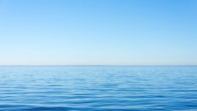 В Тихом океане спасли австралийца и его собаку, которые три месяца дрейфовали в ожидании помощи