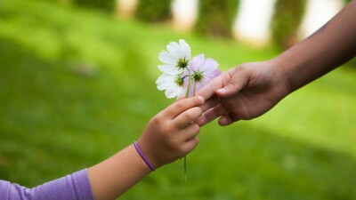 "Детей будут отбирать из семей". В Минпросвете опровергли очередной фейк