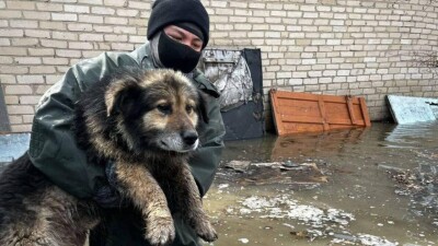 Сколько человек вернулось домой с начала паводков в Казахстане