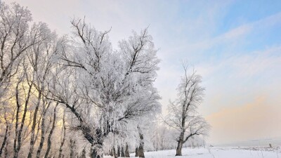Прогноз погоды на 3 марта: снег ожидается в Алматы, а также на юге и востоке Казахстана
