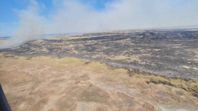 Более 100 тонн воды сбросили на горящий камыш в Иле-Балхашском резервате