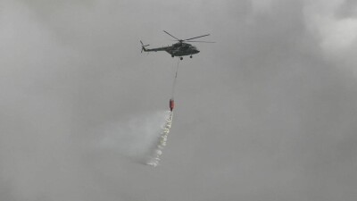 Минэкологии опубликовало список пятерых погибших работников лесничества в Абайской области