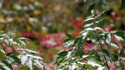 Прогноз погоды на 22 октября: дожди со снегом ожидаются в Астане, СКО, ЗКО