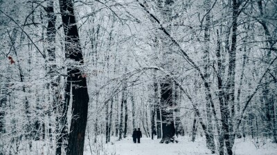 Прогноз погоды на 31 января: в большинстве регионов Казахстана ожидается снег