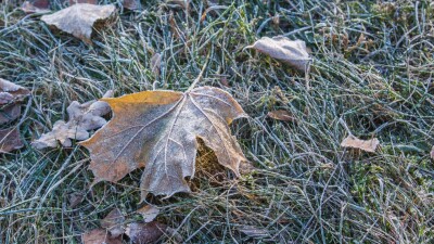 Прогноз погоды на 16 октября: заморозки ожидаются в Алматы и Алматинской области