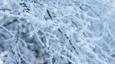 Прогноз погоды на 25 декабря: дождь со снегом, гололёд ожидаются в Астане и в центре Казахстана