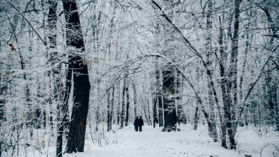 Прогноз погоды на 26 февраля: снег ожидается в Астане, на севере и востоке Казахстана