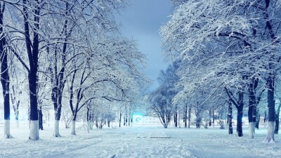 Прогноз погоды на 11 декабря: снег ожидается в Алматы и Алматинской области, а также на юге Казахстана