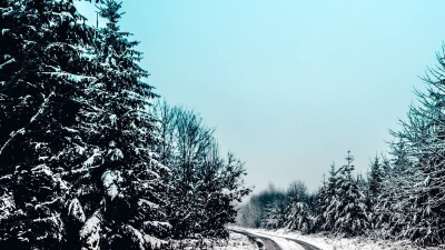 Несколько участков трасс в Алматинской области закрыли из-за погодных условий