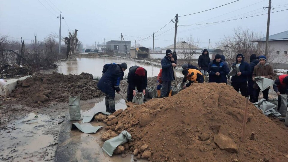 Более 180 дворов, частный дом и 11 дорог затопило во время паводка в Туркестанской области