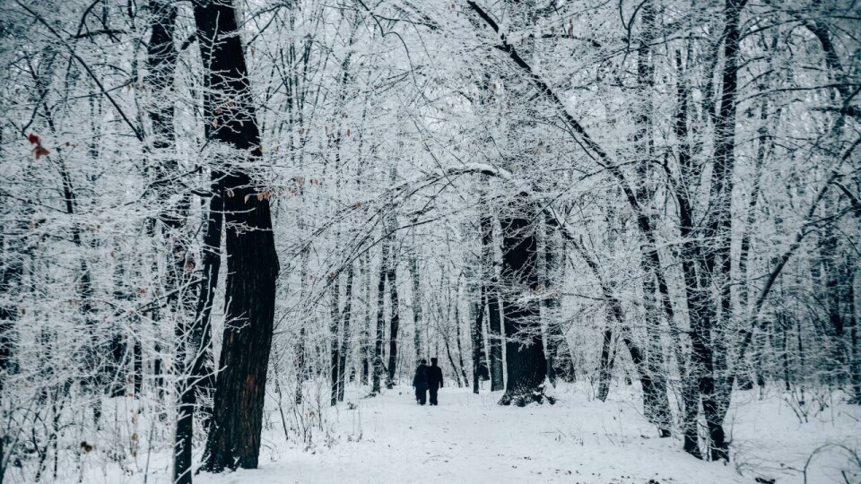Прогноз погоды на 26 февраля: снег ожидается в Астане, на севере и востоке Казахстана