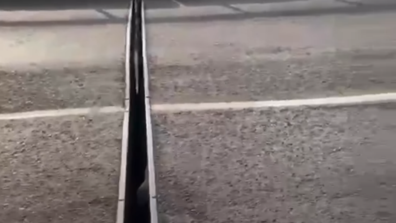 Кадр из видео