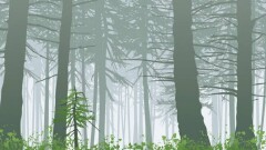 Қазақстанда орман шаруашылығының даму стратегиясы жоқ – эколог