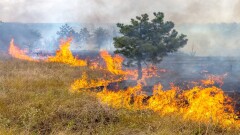 Ұлытау облысындағы өрт сөндірілді