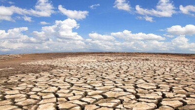 Құрғақшылықтан зардап шеккен диқандар несиені өтеу мерзімін ұзарта алады