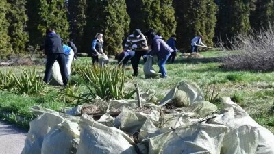 Алматыда жалпықалалық сенбілік өтеді