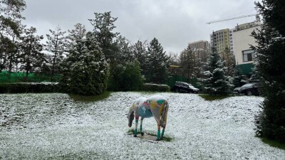 Алматыда тау бөктерінде қар жауды. Фото