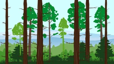 Ұлытау облысында орманға баруға шектеу енгізіледі