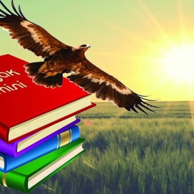 "Күніне 50 сөз қайталаймын". Еуропалық студент қазақ тілін интернет арқылы үйреніп жүр 