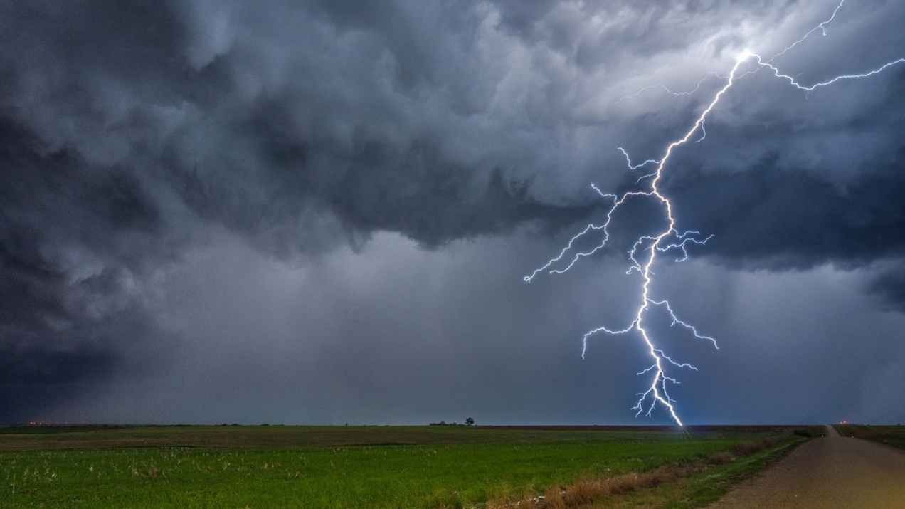 "Бәріміз бір мал басына қарап отырмыз". Жамбыл облысында найзағай түсіп, бір үйір жылқы қырылып қалды